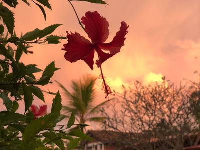 Barberyn Sands Ayurveda Resort - Bild 1