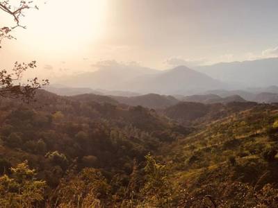 Ahaspokuna Bushwalks Camp - Bild 1