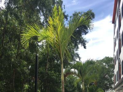 Bangkok Boutique Resort Hotel - Bild 1