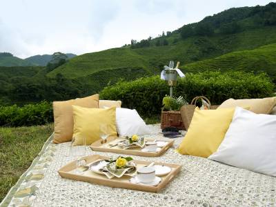 Cameron Highlands Resort - Bild 1