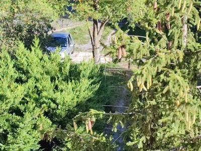 Alexandra Apartments - Bild 1