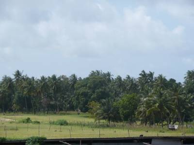 Azanza Mtwapa Holiday Home - Bild 1