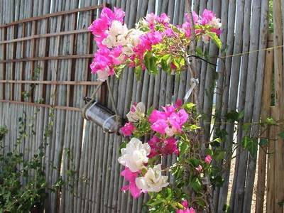 Bluesky Guest House Arniston - Bild 1