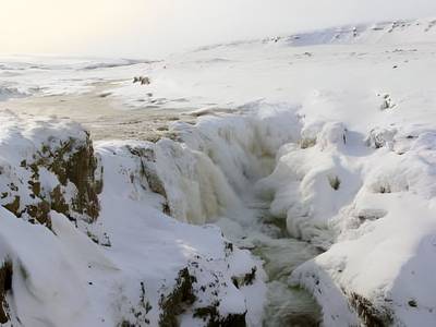 Dæli Guesthouse - Bild 1