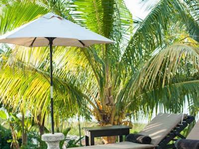 Coqui Coqui Coba - Bild 1