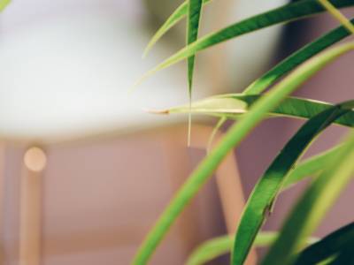 Hôtel le XIX - Bild 1