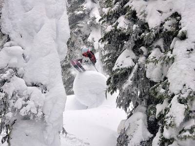 The Josie Hotel - Bild 1