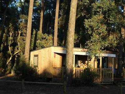 Green Resort - Bild 1