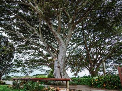 Oyster Bay Lodge - Bild 1