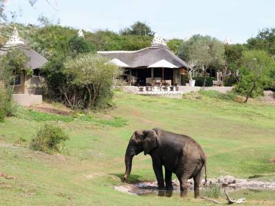 Amakhala Game Reserve - Bild 1