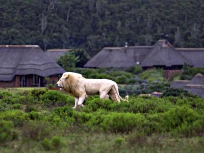 Pumba Private Game Reserve - Bild 1