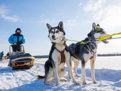 Wilderness Hotel Inari - Bild 1