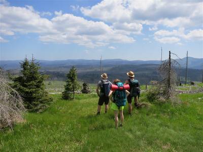 Waldwinkel Hotels Das Waldkönig & Aberkönig - Bild 1