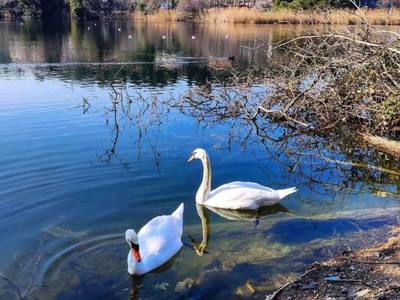 Barbara Piran Beach Hotel & Spa - Bild 1