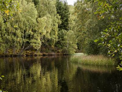 Macdonald Lochanhully Woodland Club - Bild 1