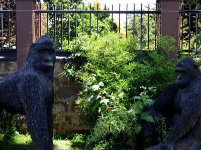 Saffron Beach Bistro & Cottages - Bild 1