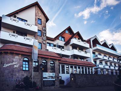 Lippischer Hof Altstadt-Palais - Bild 1