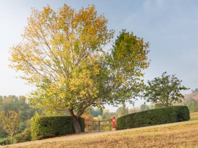 Cà Palazzo Malvasia - Bild 1