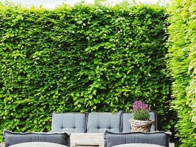 Bed And Breakfast De Bedstay - Bild 1