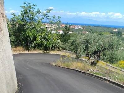 La Piana Degli Ulivi - Bild 1