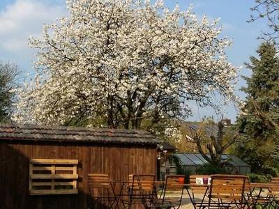 Bingers kleine Scheune - Bild 1