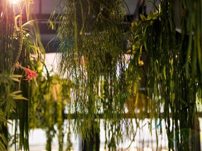 Martin's All Suites - Bild 1