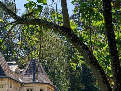 La Commanderie De Ballan - Bild 1