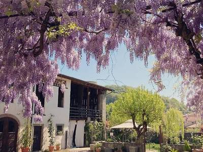 B&B Corte Seguini - Bild 1