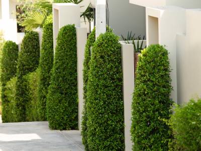 Shanti Estate by Tropiclook - Bild 1