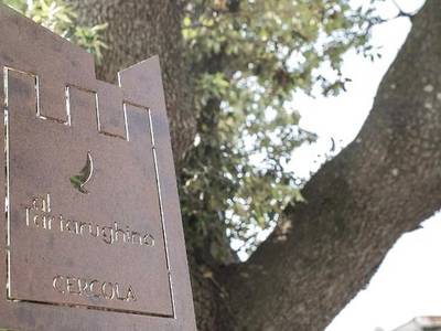 Al Tartarughino B&B - Bild 1