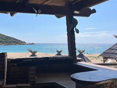 Lilium Maris - Bild 1