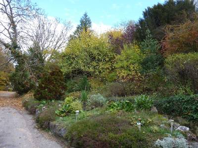 Appartements Maison Bellevue - Bild 1