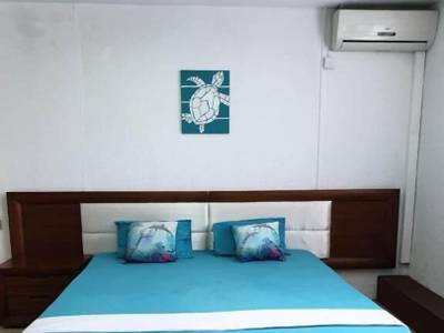 Admiral Mahe - Bild 1