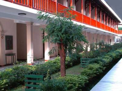 Mandara Rosen - Bild 1