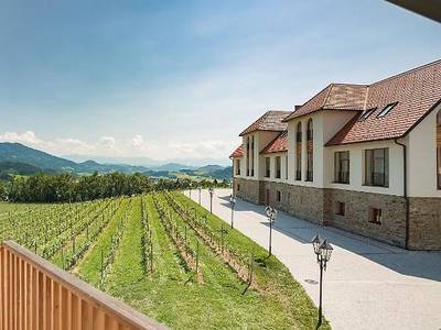 Weingut Taggenbrunn - Bild 1