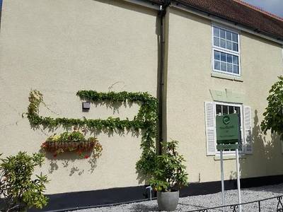 Woodlands 159 - Bild 1