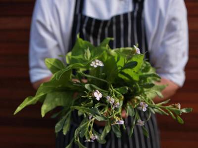 Bangalay Luxury Villas - Bild 1