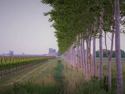 Eraclea Palace Hotel - Bild 1