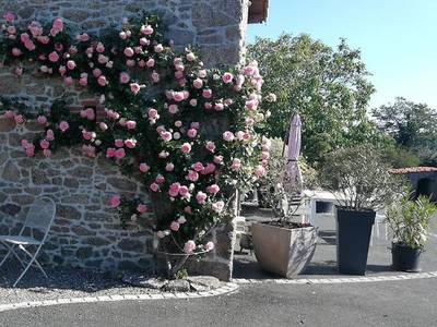 Le Chiron De La Roche - Bild 1