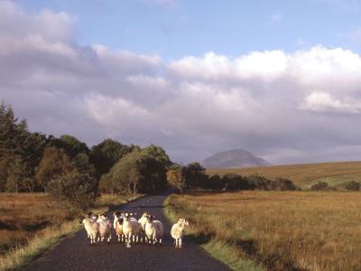 Mount Errigal Hotel - Bild 1