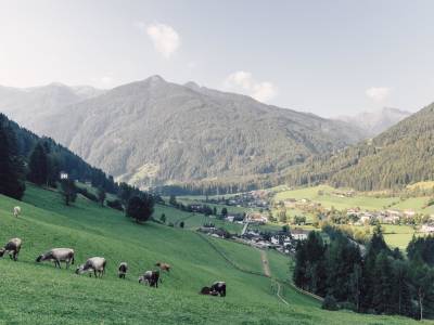 Alpenpalace Luxury Hideaway & Spa Retreat - Bild 1