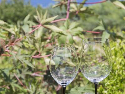 Hotel Signum - Bild 1