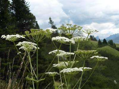 Residence Bondì - Bild 1