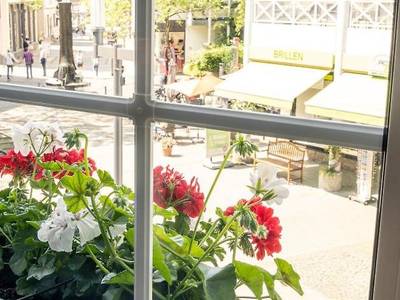 Rheinischer Hof - Bild 1