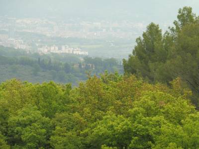 San Gemini Palace - Bild 1